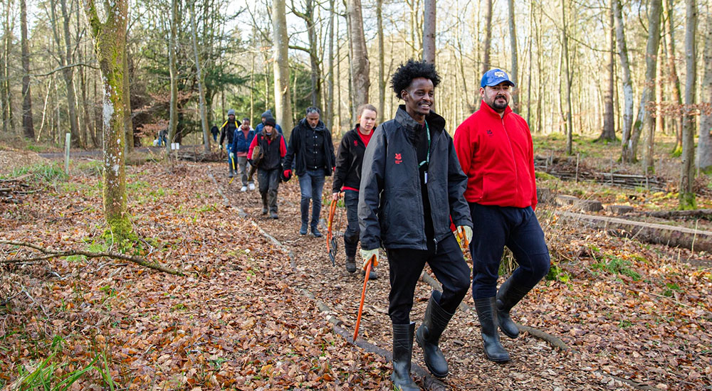 A group of people walking through a forest