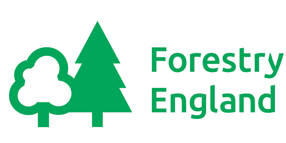 Forestry England logo