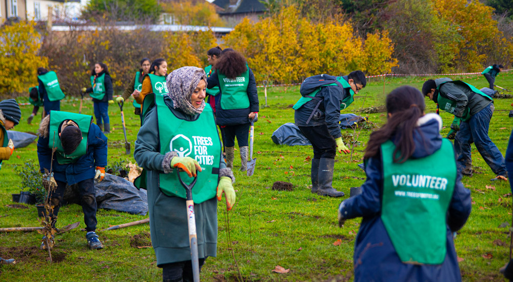 Trees for Cities: volunteer to leave a lasting impact on your community